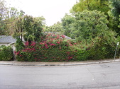 Enlarge photo 30