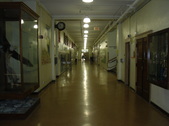 Enlarge photo 30