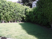 Enlarge photo 44
