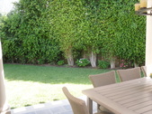 Enlarge photo 46