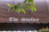 The Shelley
