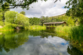 Disney Ranch