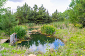 Enlarge photo 25
