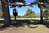 Enlarge photo 26