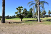 Enlarge photo 34