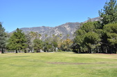 Enlarge photo 35