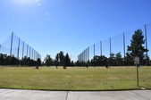 Enlarge photo 36