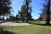 Enlarge photo 37