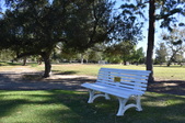 Enlarge photo 38