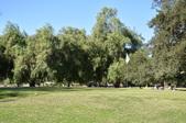 Enlarge photo 39