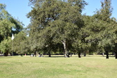 Enlarge photo 40