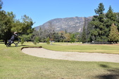 Enlarge photo 41