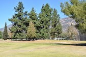 Enlarge photo 42