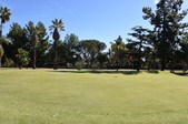 Enlarge photo 43