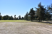Enlarge photo 45