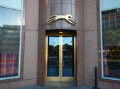 Palomino