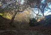 Enlarge photo 24