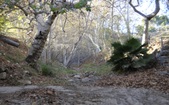 Enlarge photo 20