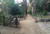 Enlarge photo 27