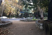 Enlarge photo 30