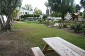Enlarge photo 41