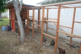 Enlarge photo 42