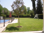 Enlarge photo 44