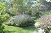 Enlarge photo 37