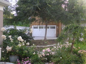 Enlarge photo 37