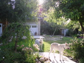 Enlarge photo 38