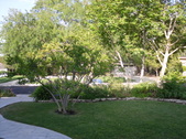 Enlarge photo 45