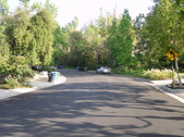 Enlarge photo 48