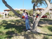 Enlarge photo 23