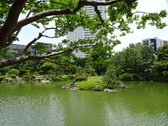 Enlarge photo 31