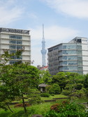 Enlarge photo 32