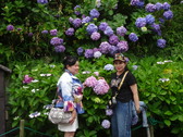 Enlarge photo 14