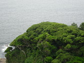 Enlarge photo 20