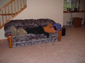 Enlarge photo 18