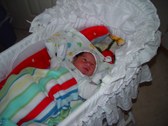 Enlarge photo 16