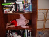 Enlarge photo 2
