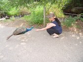Enlarge photo 11