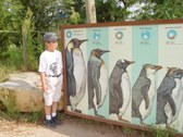 Enlarge photo 13