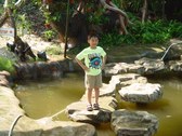 Enlarge photo 14