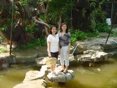 Enlarge photo 16