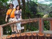 Enlarge photo 23