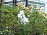 Enlarge photo 19