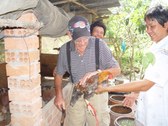 Enlarge photo 13