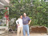 Enlarge photo 16