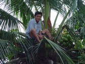 Enlarge photo 16
