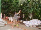 Enlarge photo 15